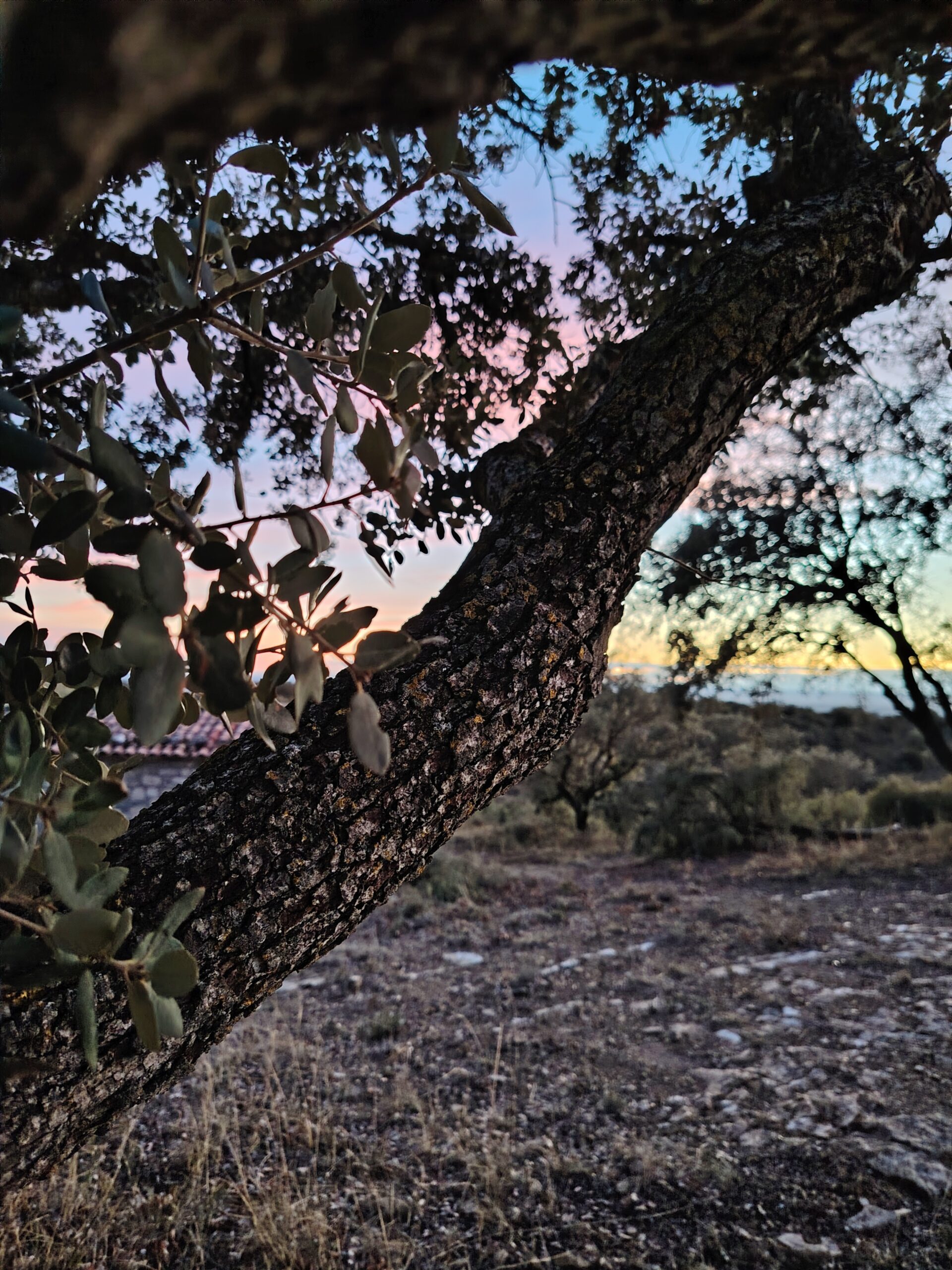 Atardecer
